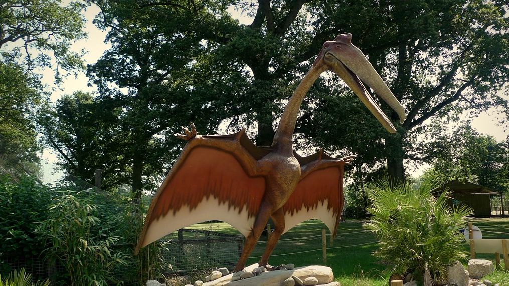 These 3 Zodiac Signs Are as Patient and Unyielding as a Pterodactyl's Flight