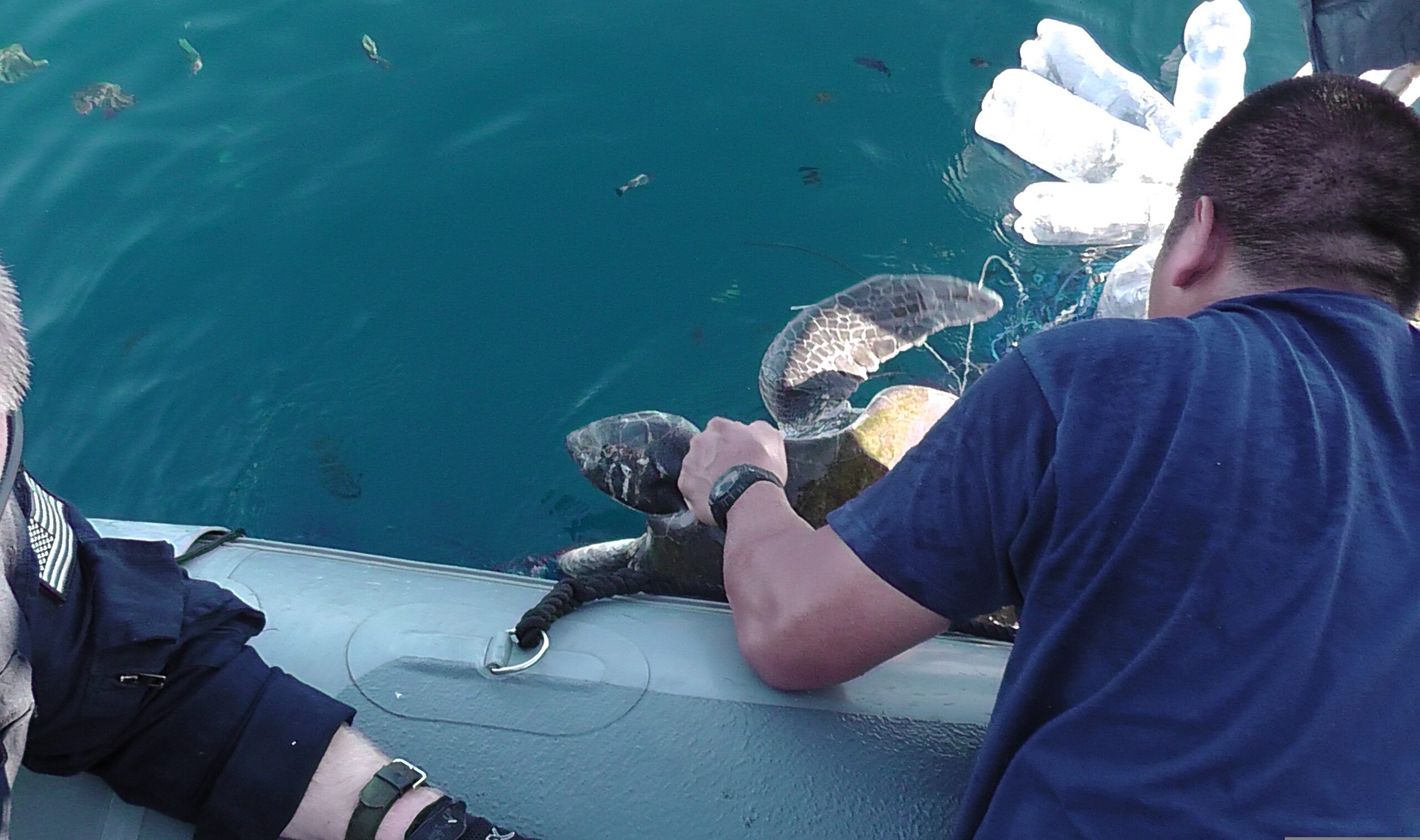 The ocean’s enforcement gap