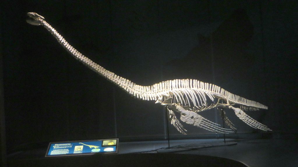 7 Incredible Discoveries That Rewrote the History of Prehistoric Marine Life