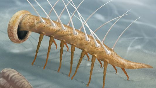 8 Extinct Creatures That Were Even More Bizarre Than Any Dinosaur
