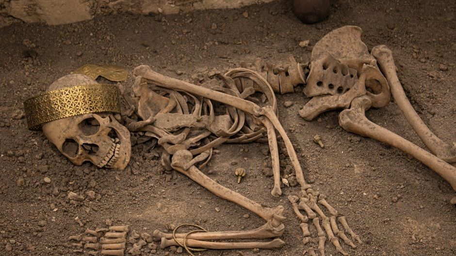 12 Amazing Facts About the Social Lives of Early Hominids in North America