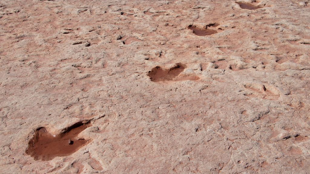 8 US Dinosaur Footprint Sites You Can Visit to Walk Through Time