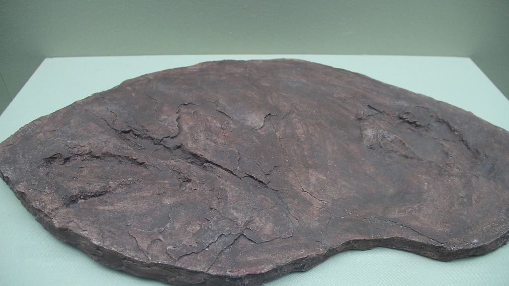 Trace Fossils Provide Unique Windows into the Everyday Lives of Dinosaurs