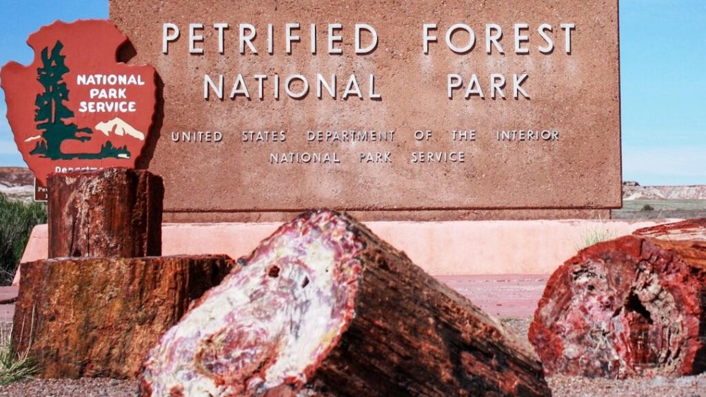 The Petrified Forest National Park: A Journey Through a Triassic Landscape
