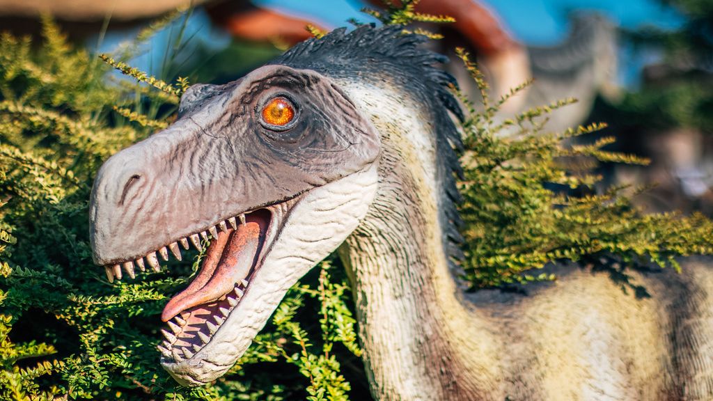 6 Zodiac Signs Whose Spirit Roams with the Ancient Velociraptor