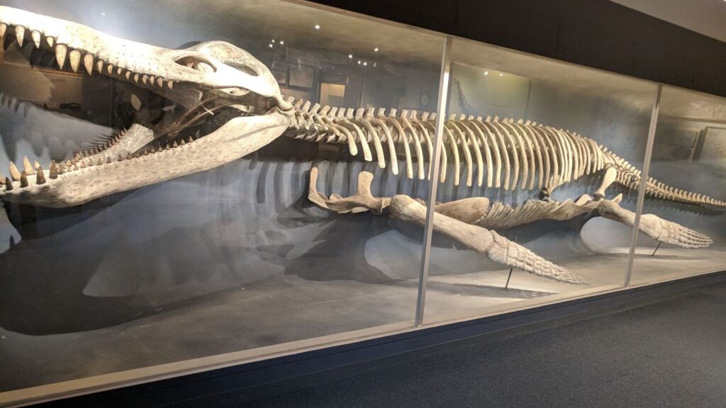 11 Amazing Fossil Discoveries That Changed Our Understanding of Early Life