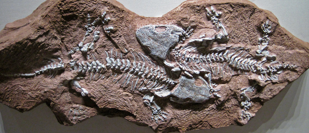 Bromacker is 4 million years older than previously thought