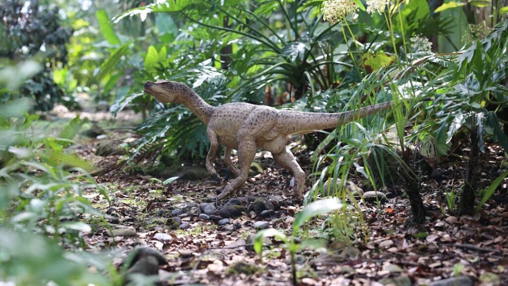 Ancient Earth's Greatest Forests: What They Tell Us About Dinosaur Habitats