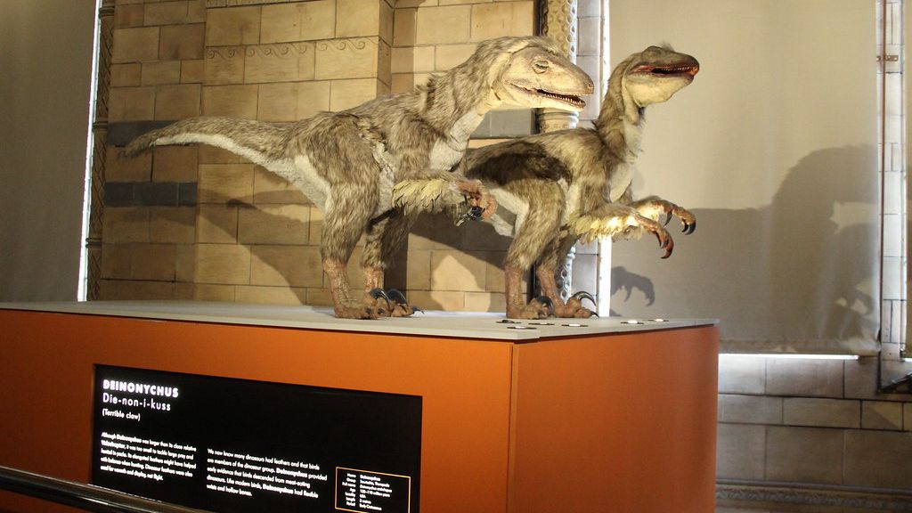 10 Unique Adaptations That Helped Dinosaurs Survive and Thrive