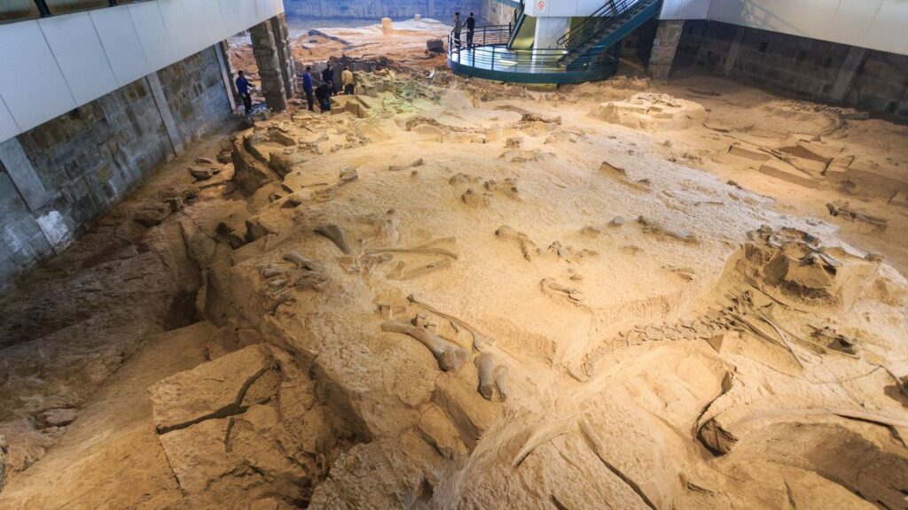 Unearthing Giants: The Greatest Dinosaur Dig Sites in the World