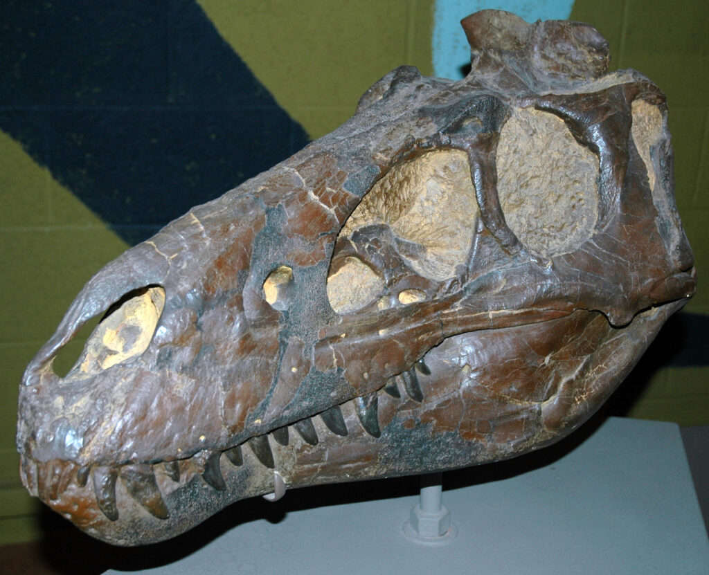 The shocking fossils that show T. rex wasn't the king of the dinosaurs