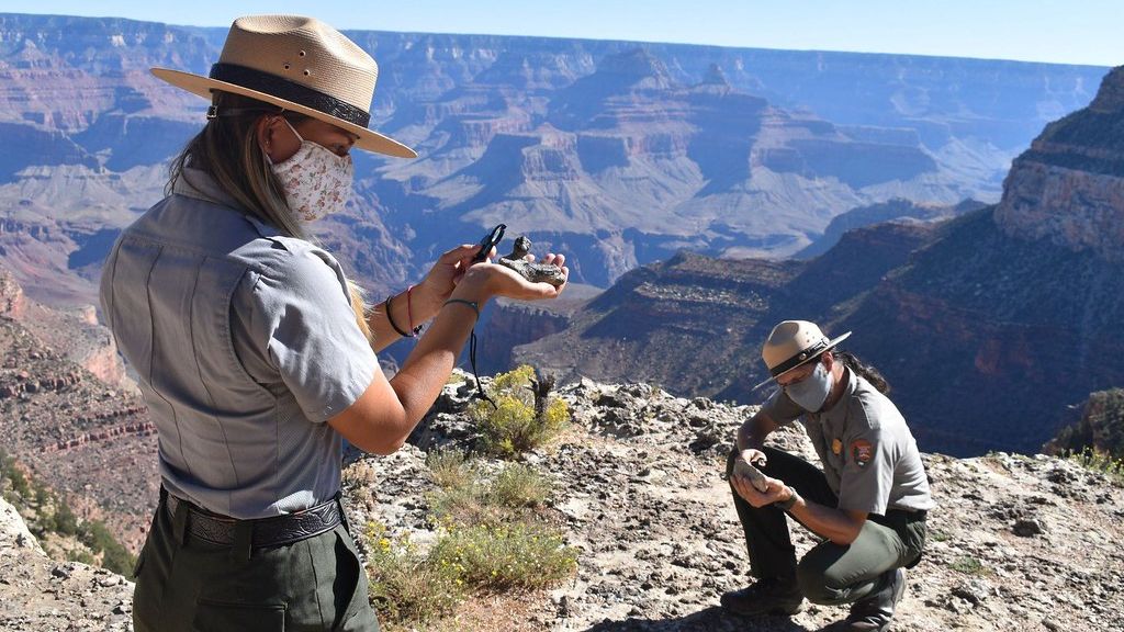 Unearthing America's Hidden Past: The Most Significant Fossil Sites You Can Visit