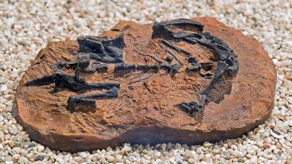 Paleontologists Just Unearthed a New Theory About Dinosaur Social Behavior