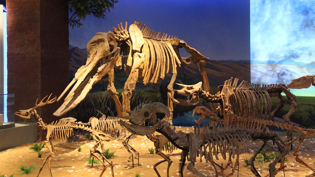 11 Iconic Prehistoric Animals That Roamed Ancient US Landscapes