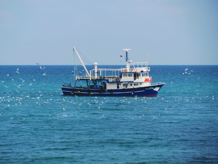 Investigation of permit violations in South Africa’s shark fishery pending