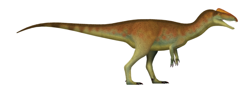 Newtonsaurus: Dinosaur fossil is a new and giant Triassic predator