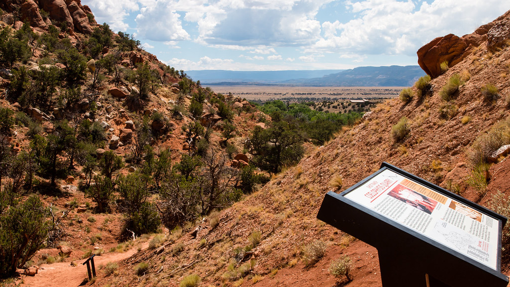 Digging Up the Past: 5 Incredible Fossil Finds From US Deserts