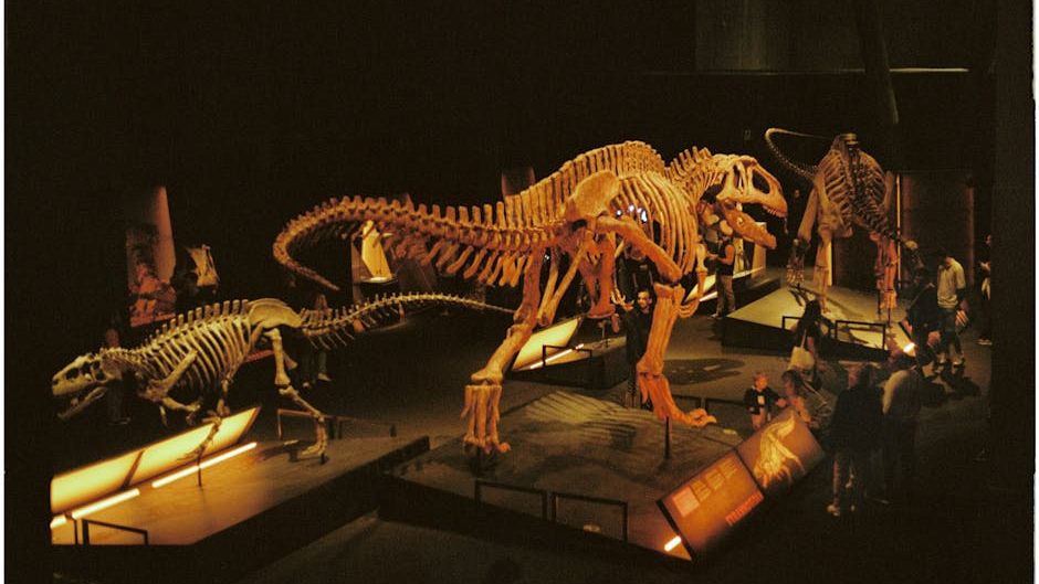 Unearthing Giants: 8 Incredible Dinosaur Skeletons Found in North America