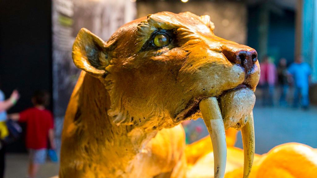 Which 3 Zodiac Signs Embody the Fierce Independence of the Saber-Toothed Cat?