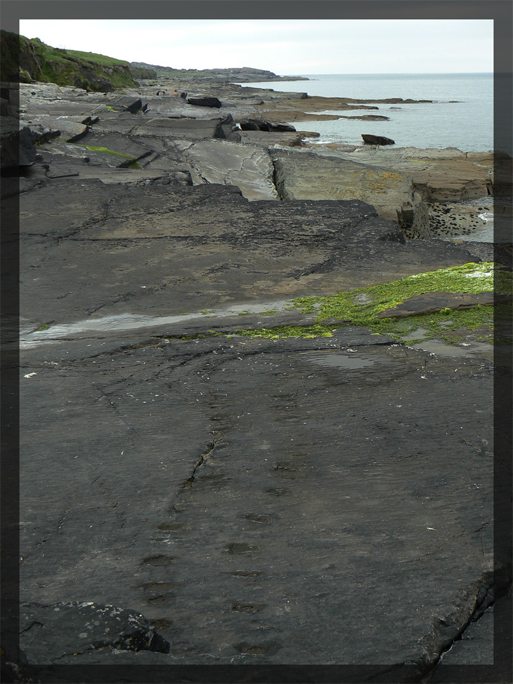 Valentia Island Devonian Tetrapod Trackway: One of the Oldest Known Records