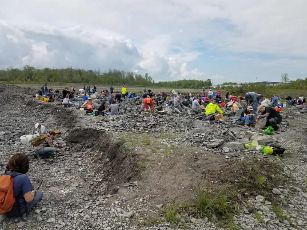 1590: The Penn Dixie Fossil Site