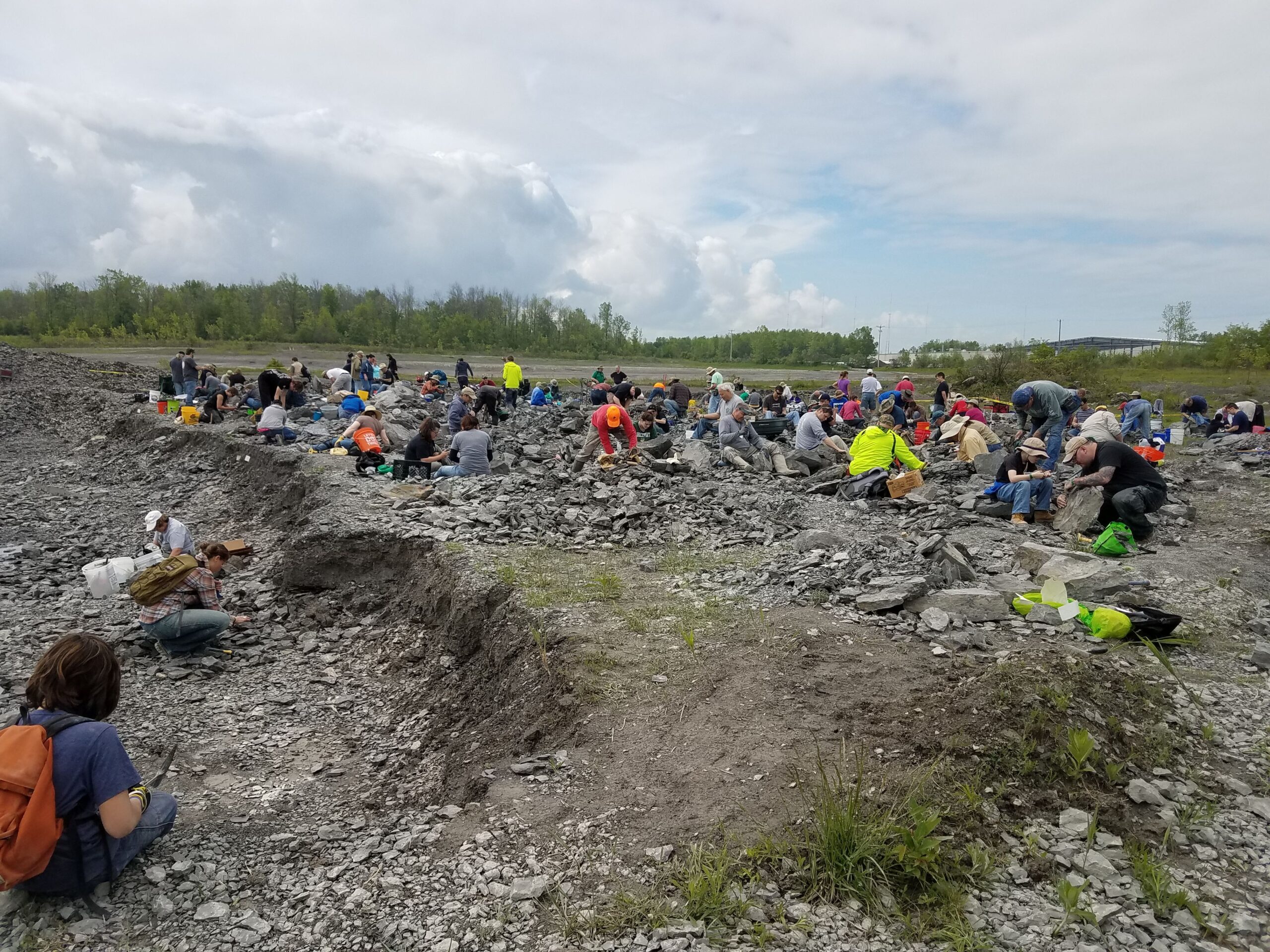 1590: The Penn Dixie Fossil Site