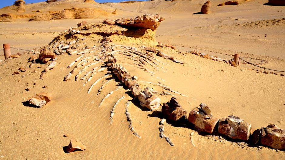 When Dinosaurs Walked: 6 US States with the Most Abundant Fossil Beds