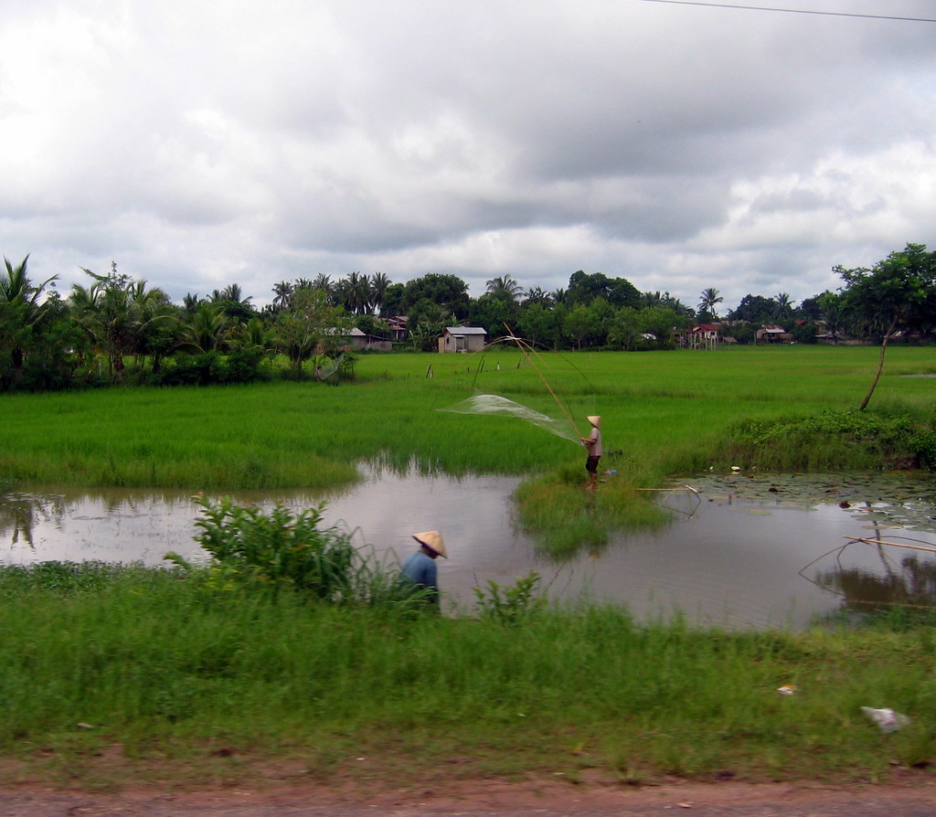Grasslands and wetlands are being lost to agriculture four times faster than forests