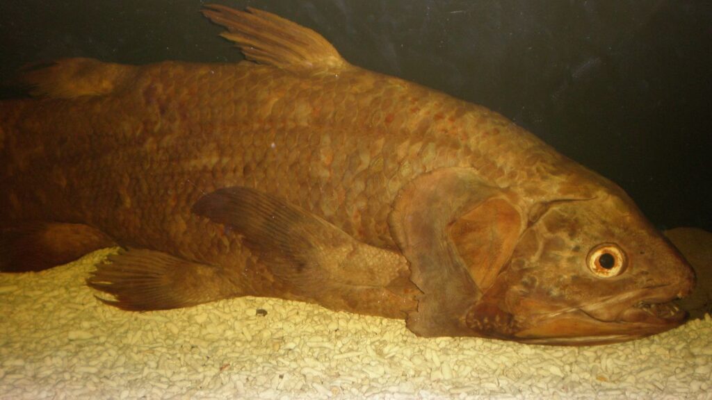 7 Ancient Creatures That Developed Astounding Survival Skills in the Wild