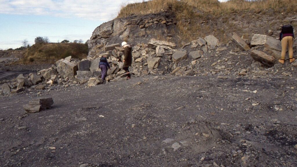 6 US Paleontology Sites Where You Can Dig Up Your Own Prehistoric Finds