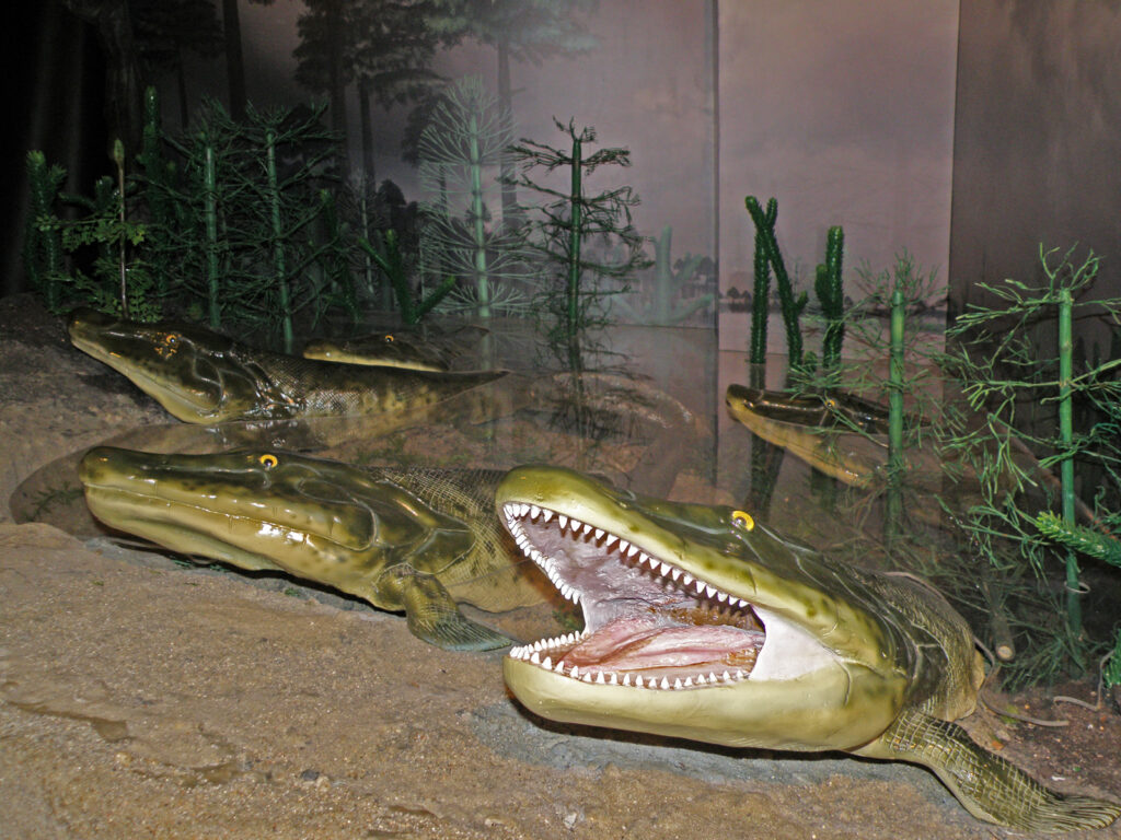 8. Tiktaalik - The Transitional Hunter That Changed Everything