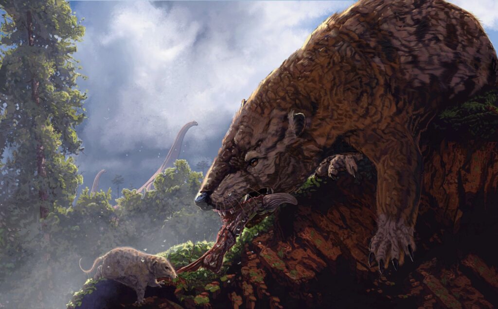Triconodont Teeth Defined a Predator Lineage