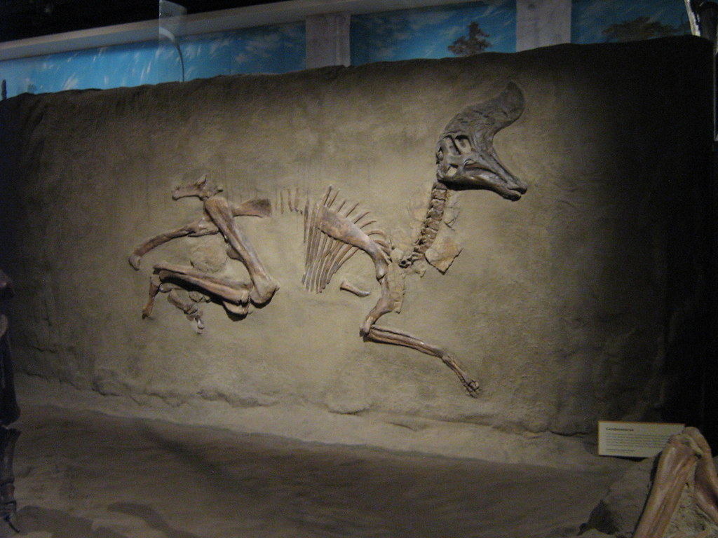 Filling the Gaps Where Fossils Fragment 