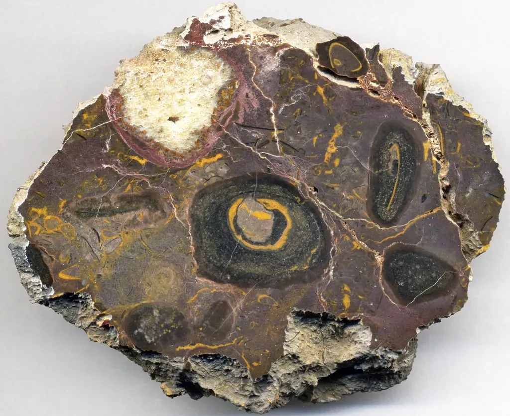 The Cradle of Life: Exploring Ancient Microbial Ecosystems That Shaped Our Planet