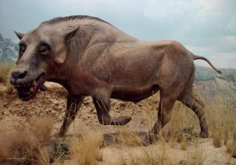 Entelodont: The "Hell Pig" That Earned Its Nickname 