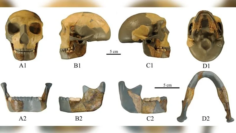 The Hualongdong Site: China's 300,000-Year-Old Window Into Transitional Humans 