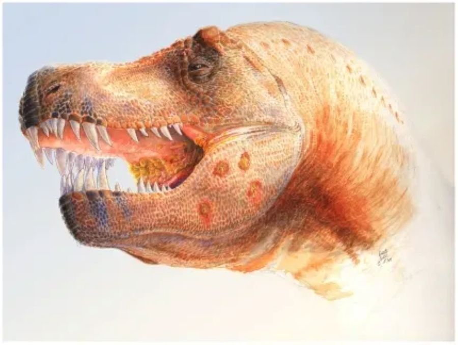 Decoding Dinosaur Sounds: What Ancient Roars Really Meant