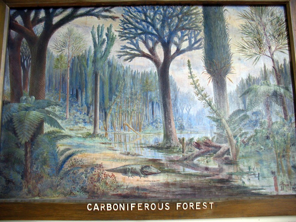 9. The Carboniferous Rainforest Collapse Was Earth's First Major Climate-Driven Extinction