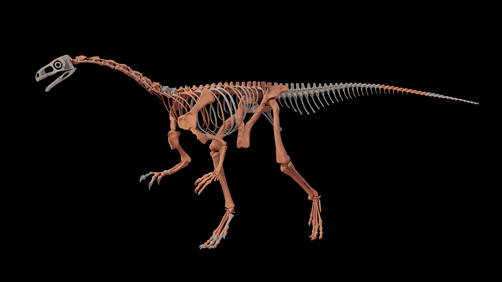 8. Huayracursor Jaguensis: Revealing the Earliest Roots of Sauropod Necks