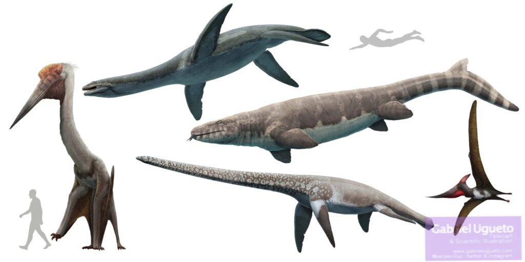 Myth 6: Pterosaurs and Plesiosaurs Were Dinosaurs