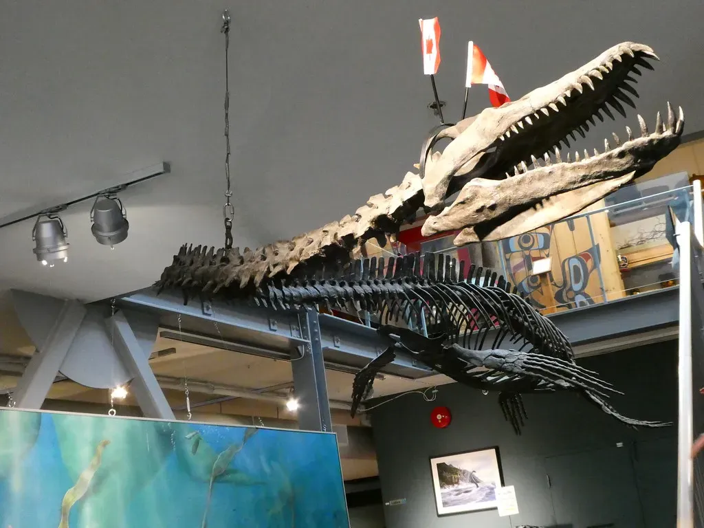 12 Surprising Discoveries About the Brains of Ancient Marine Reptiles
