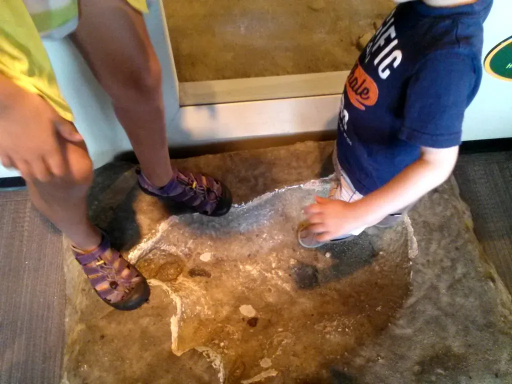 How Did Paleontologists Piece Together the Lives of Extinct Giants?