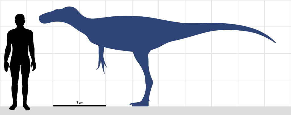 7. The T. Rex's Earliest Ancestors Were No Bigger Than a Human 