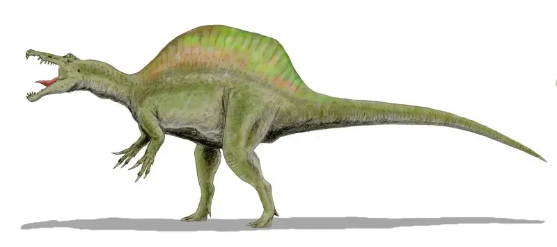 Paleontologists Uncover the Surprising Diet of the Mighty Spinosaurus