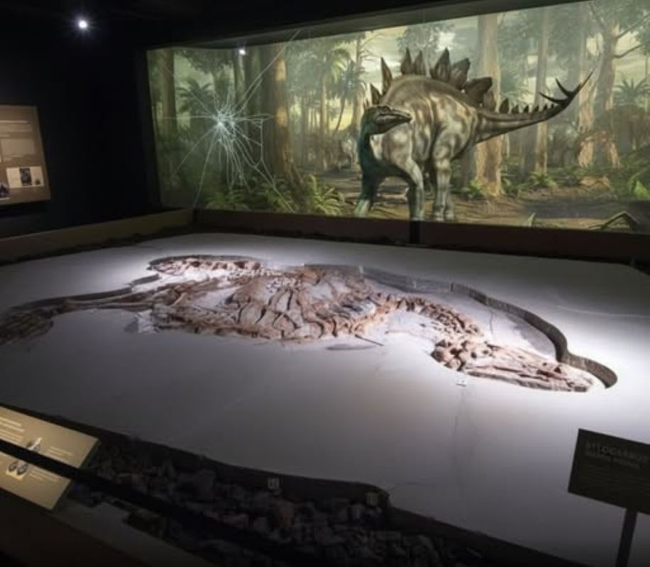 A Breakthrough Unearthed in Fengning