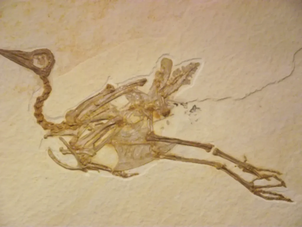 Prehistoric Birds Were Far More Diverse and Powerful Than Modern Birds