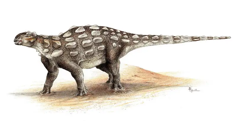 Paleontologists Just Discovered a New Species of Armored Dinosaur in North America