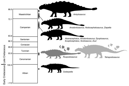 What Makes Ruopodosaurus So Unusual