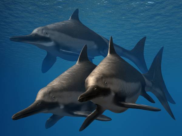 7. Ichthyosaurs Were the Dolphins of the Dinosaur Age 