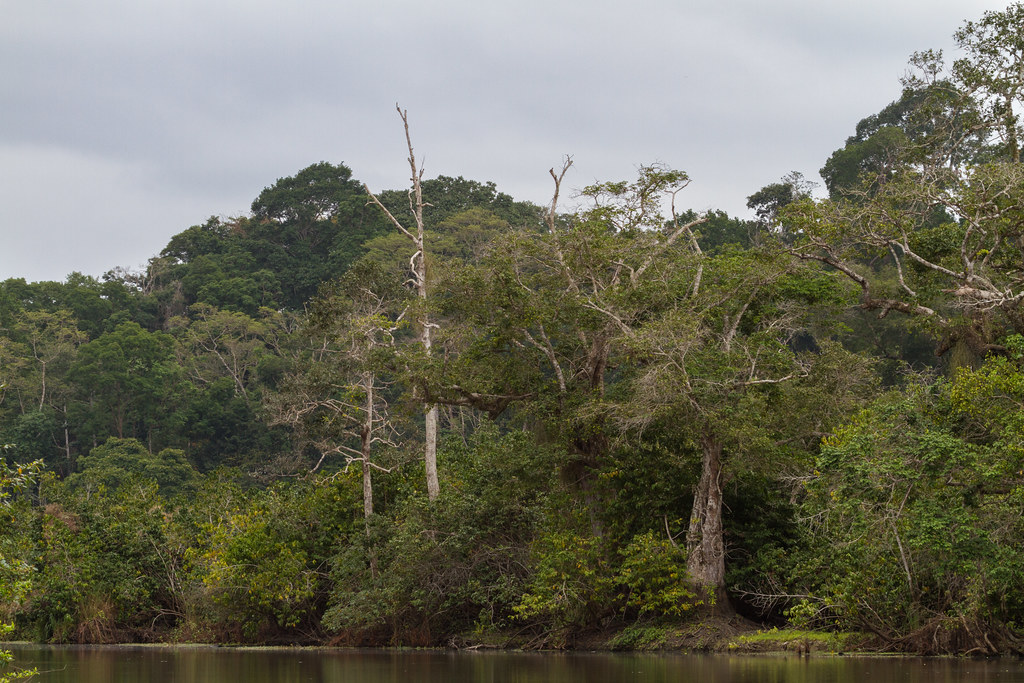 The Myth of the Empty Wilderness